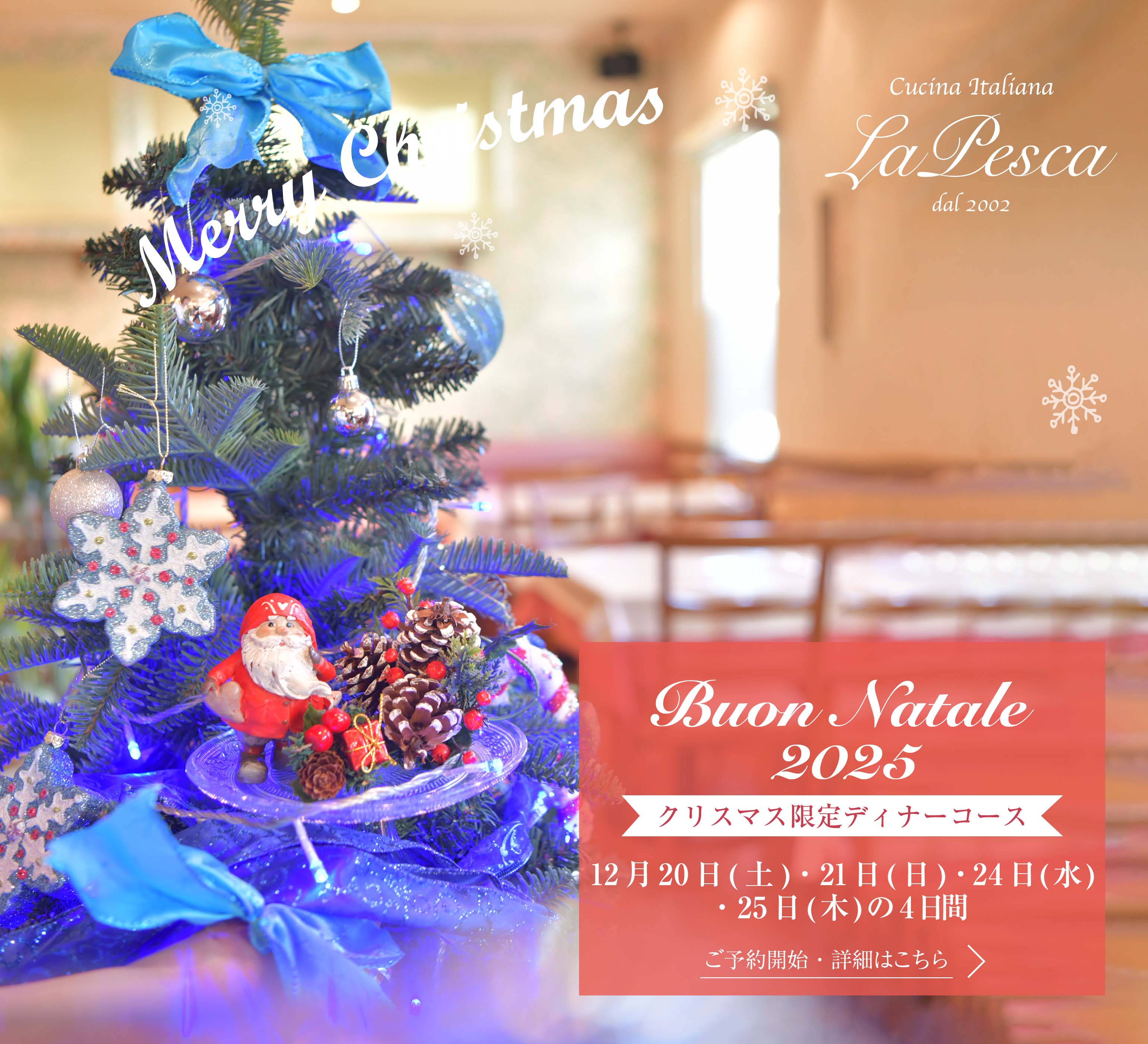 Buon Natale 2018 クリスマス限定ディナーコース 12月23日(土)・24日(日)・25日(月)
